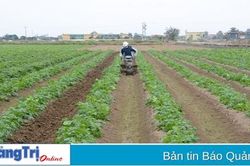 Gần 9,8 tỉ đồng thực hiện chính sách hỗ trợ phát triển một số cây trồng, vật nuôi tạo sản phẩm chủ lực có lợi thế cạnh tranh