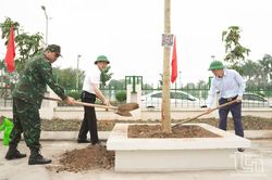 TP. Sông Công phấn đấu trồng 20.000 cây phân tán