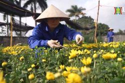 Bông hoa đẹp ở Vườn ươm Cầu Diễn | Người tốt quanh ta | 21/02/2024