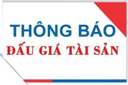 Chi cục Thi hành án dân sự thị xã Hồng Lĩnh thông báo đấu giá xe ô tô Mercedes