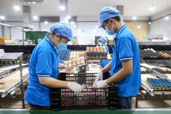 TP Hồ Chí Minh: Tổ chức 17 sự kiện, hoạt động hỗ trợ doanh nghiệp trong năm 2024