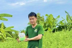 Anh nông dân kiếm 3 tỷ đồng từ loại cây quen thuộc trong vườn nhà