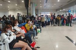 Cục Hàng không yêu cầu các hãng bay giải trình vé Tết