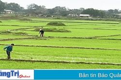 Chủ động triển khai các biện pháp tưới tiêu khoa học từ đầu vụ đông xuân