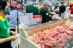 Giá heo hơi hôm nay 22/2: Giá tại miền Nam đã vượt miền Bắc