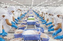 Xuất khẩu thủy sản sang Trung Quốc tăng gấp 3 lần trong tháng đầu năm