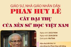 Giáo sư Phan Huy Lê: Cây đại thụ của nền sử học Việt Nam