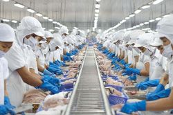 Thị trường nội địa là điểm sáng doanh thu của Vĩnh Hoàn