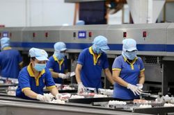 Tín hiệu tích cực về 'sức khỏe' của doanh nghiệp