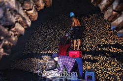 Nơi cửa lò
