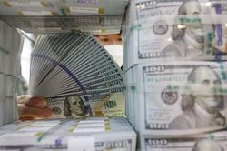 Tỷ giá USD hôm nay 24/2/2024: USD trụ vững ở mức cao