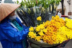 Dự báo thời tiết ngày 25/2: Bắc Bộ chìm trong mưa rét, vùng núi có nơi 6 độ C