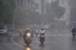 Bắc bộ mưa rét, nước sông Mê Kông xuống thấp cả mét, xâm nhập mặn vào sâu