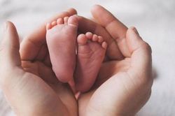 Thôi việc trước thời gian dự sinh có được chế độ thai sản?
