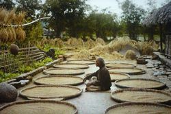 Ảnh độc vẻ đẹp 'không lẫn vào đâu' của Hà Nội 100 năm trước
