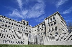 WTO nhất trí tạo thuận lợi cho đầu tư vào các nước đang phát triển