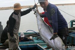 Kịp thời cứu vớt 4 ngư dân Phú Yên gặp nạn trên biển