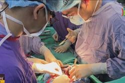 Ghép tạng điều kỳ diệu của y học