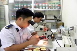 Đề xuất Danh mục vật thể thuộc diện kiểm dịch thực vật