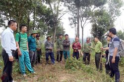Nguy cơ cháy rừng cấp cực kỳ nguy hiểm