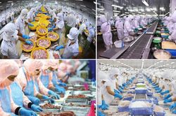 Bộ Tài chính gỡ vướng về kê khai, nộp thuế cho doanh nghiệp thủy sản