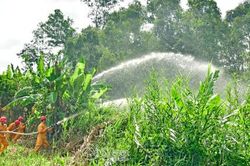 Diễn tập hiệp đồng chữa cháy rừng
