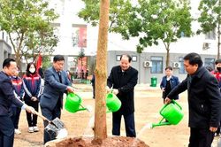 Phát động phong trào mỗi nhà giáo, học sinh Hà Nội trồng 1 cây xanh