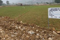 Dự án đường dây 500kV: 'Trảm' nhà thầu ngay trên công trường