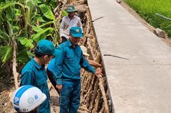 Chủ động để giảm thiệt hại do khô hạn