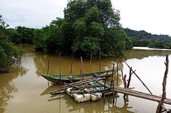 Nơi sông ra biển