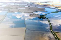 Khám phá vẻ đẹp nông nghiệp lúa nước Italy