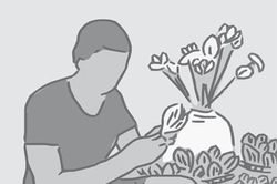Bông giấy vẫn nở dưới mưa xuân