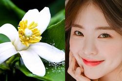 Cách làm đẹp da, trắng mịn từ hoa bưởi