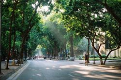 Thời tiết ngày 5/3: Hà Nội sáng sớm có sương mù, trưa chiều nền nhiệt tăng nhanh