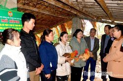 Phát huy vai trò chủ thể nông dân trong xây dựng nông thôn mới