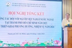 Tổng kết công tác đối với người Việt Nam ở nước ngoài