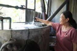 Nhiễm mặn ảnh hưởng hơn 100.000 hộ dân ở Bến Tre, Tiền Giang
