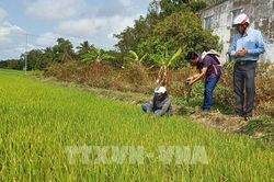 Cao điểm xâm nhập mặn ở ĐBSCL có khả năng ảnh hưởng đến sản xuất và sinh hoạt