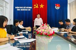 Hội Liên hiệp Thanh niên Việt Nam tỉnh Gia Lai gặp mặt các tổ chức thành viên trực thuộc Hội