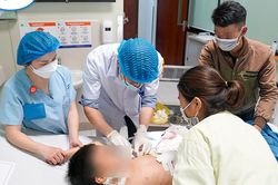 Hà Nội chủ động các biện pháp phòng, chống bệnh dại