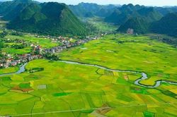 Luật Đất đai 2024: Quy định về bồi thường thiệt hại do việc trưng dụng đất gây ra