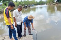Cao điểm xâm nhập mặn ở ĐBSCL có khả năng ảnh hưởng đến sản xuất và sinh hoạt