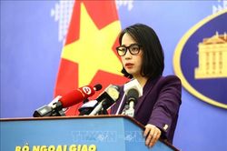 Việt Nam lên án hành vi tấn công bạo lực, vô nhân đạo trên các tuyến hàng hải quốc tế
