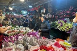 Chợ hoa đầu mối lớn nhất Hà Nội tấp nập trước ngày 8/3