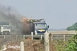 Xác minh nguyên nhân xe tải bốc cháy trên đường cao tốc Phan Thiết - Dầu Giây