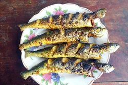 Độc đáo món ngon xứ Quảng từ cá chuồn