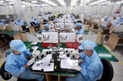 EU cấm sản phẩm liên quan lao động cưỡng bức