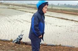 Công an phường làm rõ tin báo giả cướp tài sản