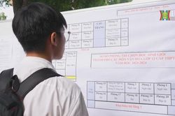 Tăng gần 400 giải thi học sinh giỏi thành phố Hà Nội