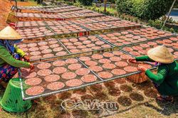 Bánh tráng cá cơm xứ Hòn